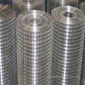 Hot DIP Galvanized Welded Wire Mesh